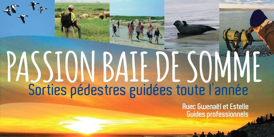 Passion Baie de Somme