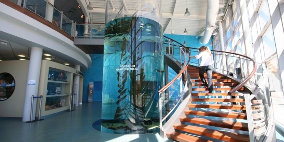 Planet Ocean Montpellier — divers