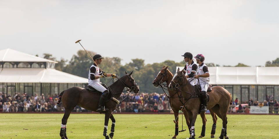 Polo Club du Domaine de Chantilly - master