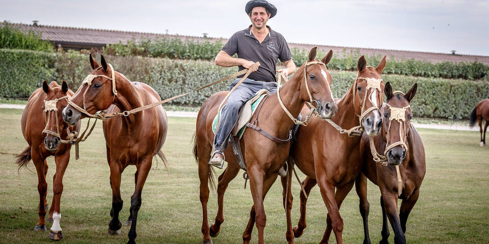 Polo Club du Domaine de Chantilly - master