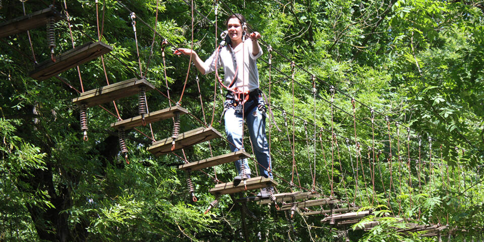 Relevez des défis dans les arbres