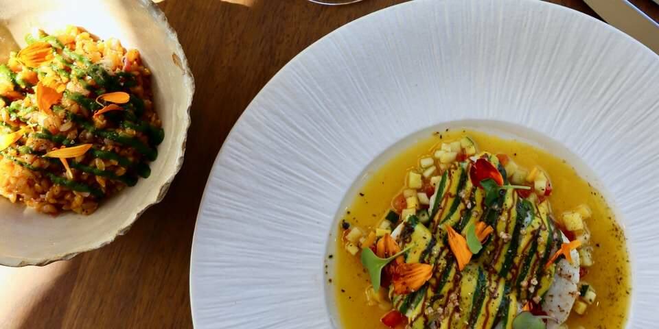 RENÉE restaurant — restaurant