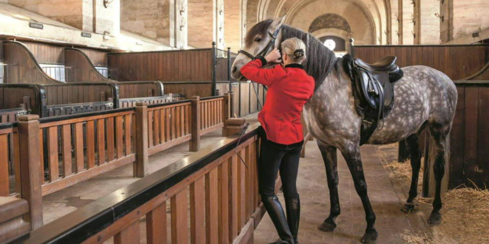 Spectacles et animations équestres - Domaine de Chantilly