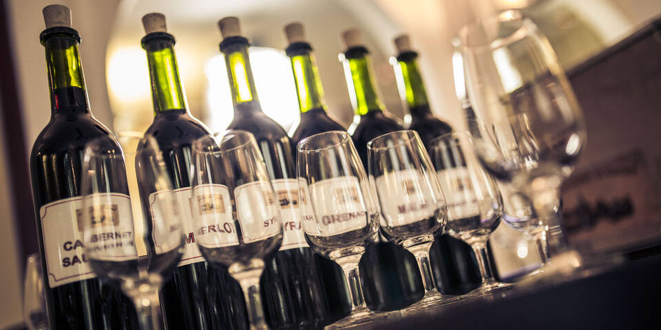 Team Building Vin - Wine Making Academy
