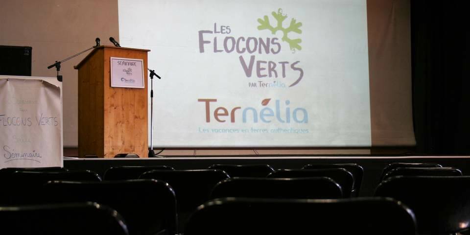 Ternélia - Les Flocons Verts — salles_reunion