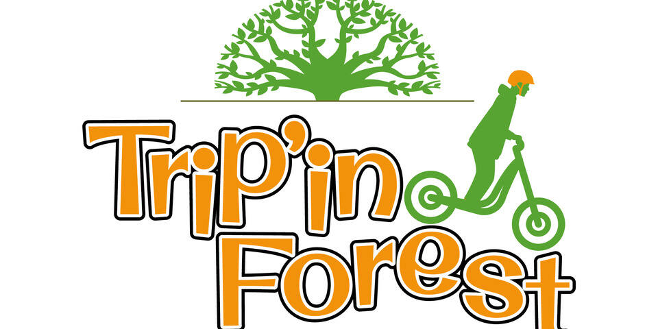 Trip’in Forest - En forêt
