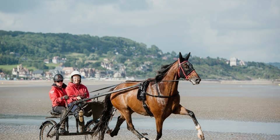 Trot attelé en sulky biplace