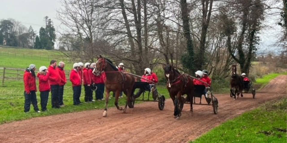 Trot attelé en sulky biplace