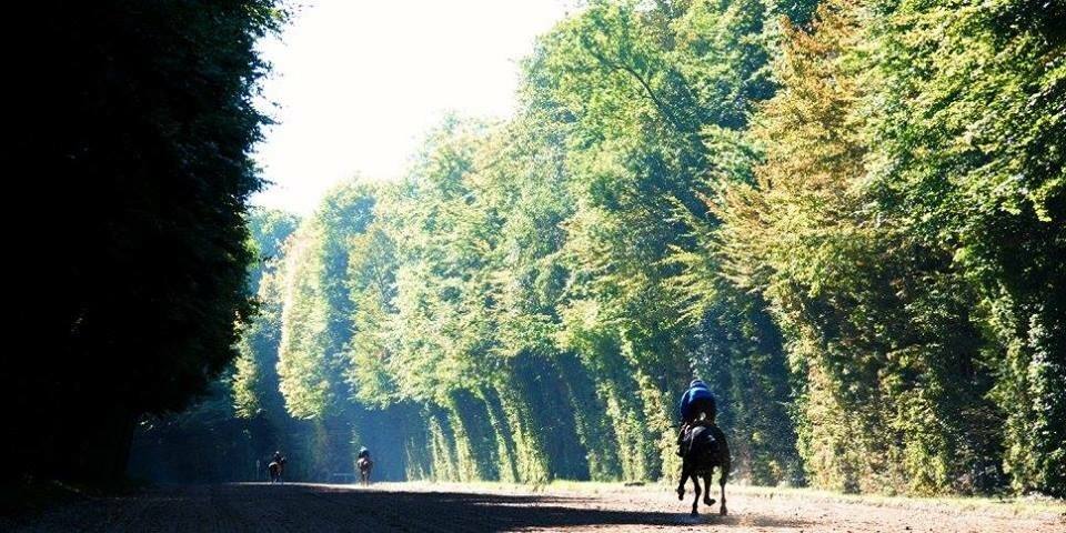 Un Jour aux Courses
