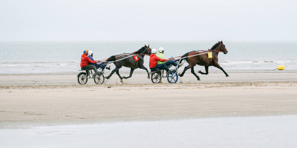 Un Jour aux Courses