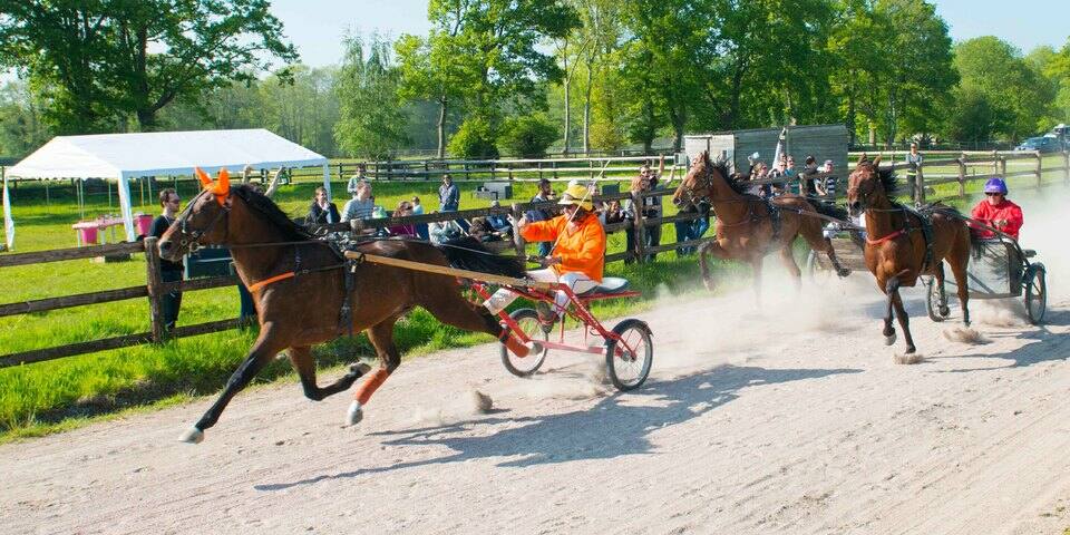 Un Jour aux Courses