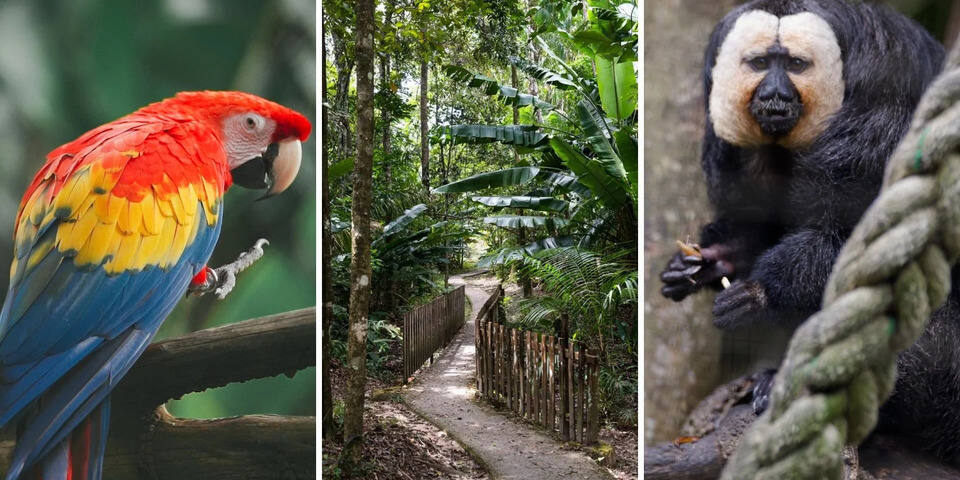 Zoo-refuge de Guyane